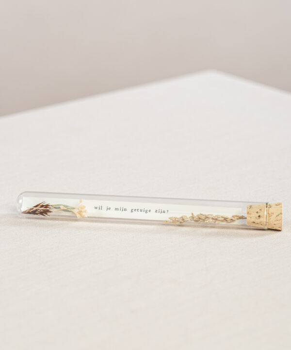 Buisje - Wil je mijn getuige zijn?